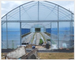  2025Ÿ��2282  �����