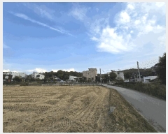  2025Ÿ��3094 ��� ����� �ϻ굿�� ������ 113-28      ����(�Ӿ�)���