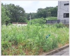  2025Ÿ��3094 ��� ����� �ϻ굿�� ������ 113-28      ����(�Ӿ�)���