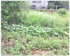  2025Ÿ��3094 ��� ����� �ϻ굿�� ������ 113-28      ����(�Ӿ�)���