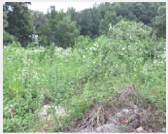  2025Ÿ��3094 ��� ����� �ϻ굿�� ������ 113-28      ����(�Ӿ�)���