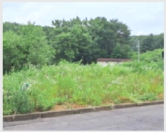  2025Ÿ��3094 ��� ����� �ϻ굿�� ������ 113-28      ����(�Ӿ�)���