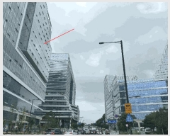  2025Ÿ3186   籸 ⵿ 394 ƮνƼ⵿ 111120ȣ    Ʈ