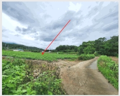  2025Ÿ��3698  ����