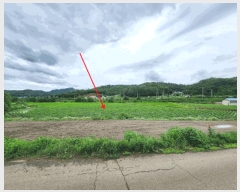  2025Ÿ��3698  ����