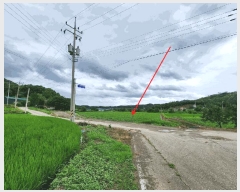  2025Ÿ��3698  ����