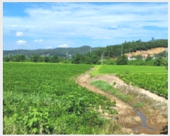  2025Ÿ��3698  ����