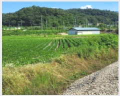  2025Ÿ��3698  ����