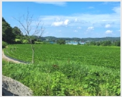  2025Ÿ��3698  ����