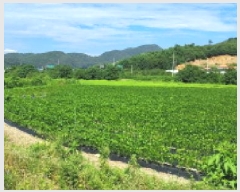  2025Ÿ��3698  ����