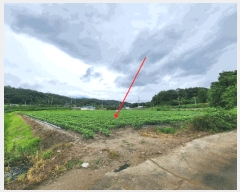  2025Ÿ��3698  ����