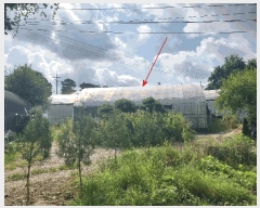  2025Ÿ��4660 ��� ����� ���籸 ���絿 310      ����(��1)���