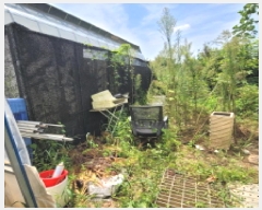  2025Ÿ��4660 ��� ����� ���籸 ���絿 310      ����(��1)���