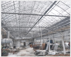  2025Ÿ��4660 ��� ����� ���籸 ���絿 310      ����(��1)���