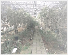  2025Ÿ��4660 ��� ����� ���籸 ���絿 310      ����(��1)���