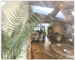  2025Ÿ��4851  ����Ʈ��������