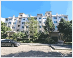  2025Ÿ��5335  �����ڽü����