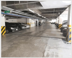  2025Ÿ��5335  �����ڽü����