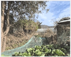  2025Ÿ��6628 ��� ����� ���籸 ��ε� 361-14      ����(��1)���