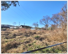  2025Ÿ��6628 ��� ����� ���籸 ��ε� 361-14      ����(��1)���