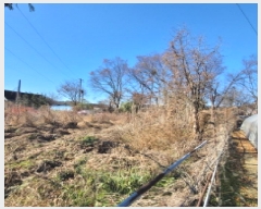  2025Ÿ��6628 ��� ����� ���籸 ��ε� 361-14      ����(��1)���