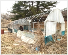  2025Ÿ��60202  ������