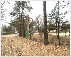  2025Ÿ��60202  ������