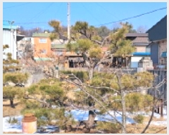  2025Ÿ��61038 ��� ���ֽ� ������ ��縮 351-45      ���ð��