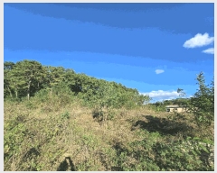  2025Ÿ��61847 ��� ���ֽ� ������ ���ָ� 205-8      ����(��1)���