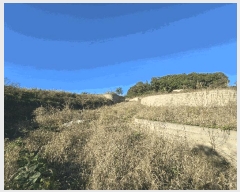  2025Ÿ��61847 ��� ���ֽ� ������ ���ָ� 205-8      ����(��1)���