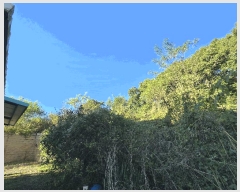  2025Ÿ��61847 ��� ���ֽ� ������ ���ָ� 205-8      ����(��1)���