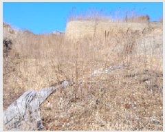  2025Ÿ��61847 ��� ���ֽ� ������ ���ָ� 205-8      ����(��1)���