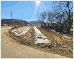  2025Ÿ62316  ֽ ո  1140      ()