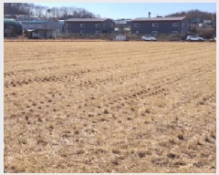  2025Ÿ62316  ֽ ո  1140      ()