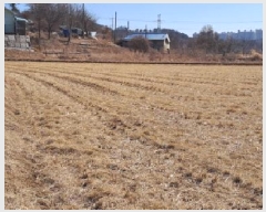  2025Ÿ62316  ֽ ո  1140      ()