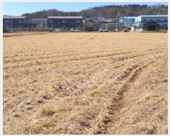  2025Ÿ62316  ֽ ո  1140      ()