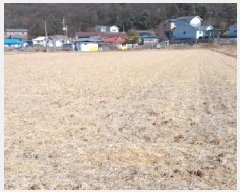  2025Ÿ62316  ֽ ո  1140      ()