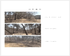  2025Ÿ62418  ֽ  絿 83      (Ӿ)