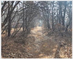  2025Ÿ62418  ֽ  絿 83      (Ӿ)