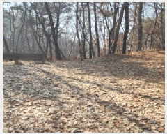  2025Ÿ62418  ֽ  絿 83      (Ӿ)