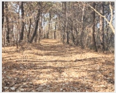  2025Ÿ62418  ֽ  絿 83      (Ӿ)