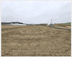  2025Ÿ62586  ֽ ߵ 707       ()