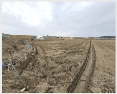  2025Ÿ62586  ֽ ߵ 707       ()