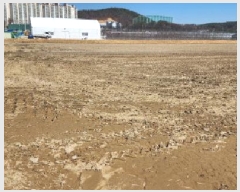  2025Ÿ62586  ֽ ߵ 707       ()