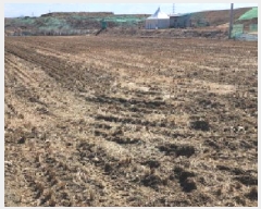  2025Ÿ62586  ֽ ߵ 707       ()