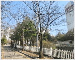  2025Ÿ62663   ϻ꼭 ̵ 1521 ̵¿Ʈ 105 5501ȣ   Ʈ