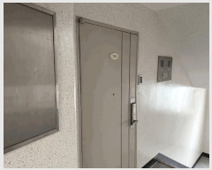  2025Ÿ62724   ϻ굿 ǳ 1268 Ӹ 605 202001ȣ   Ʈ