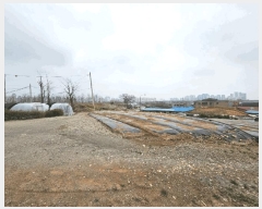  2025Ÿ62752   籸 嵿 54-13      (Ӿ)