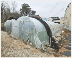  2025Ÿ62752   籸 嵿 54-13      (Ӿ)