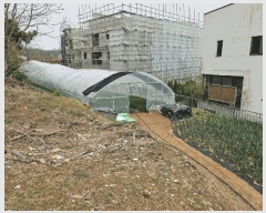  2025Ÿ62752   籸 嵿 54-13      (Ӿ)